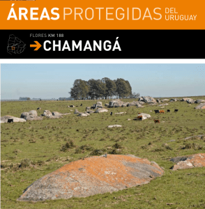 Screen shot 2015-06-21 at 6.54.09 PM